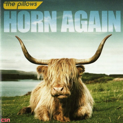 Horn Again