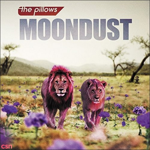 The Pillows