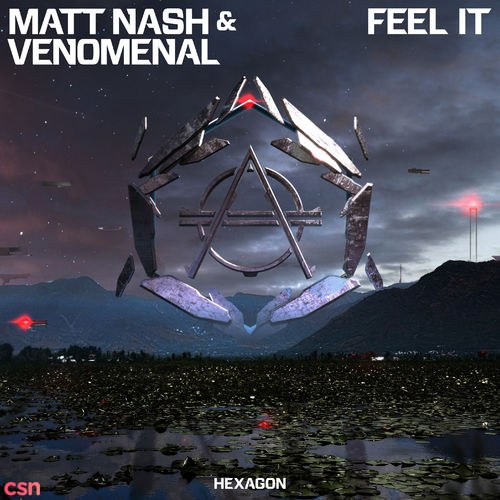 Feel It (Single)