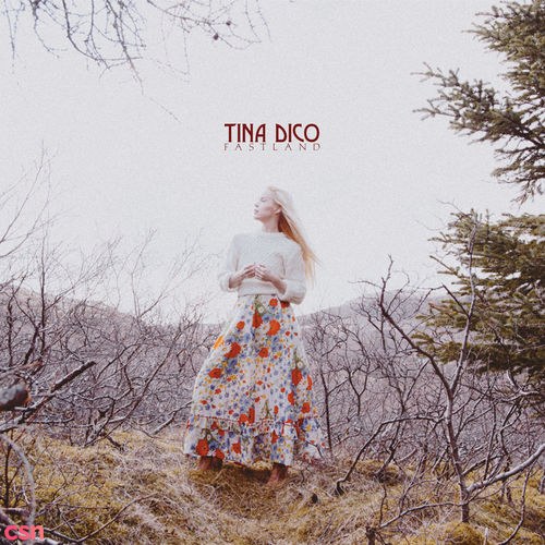 Tina Dico