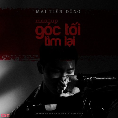 Mai Tiến Dũng