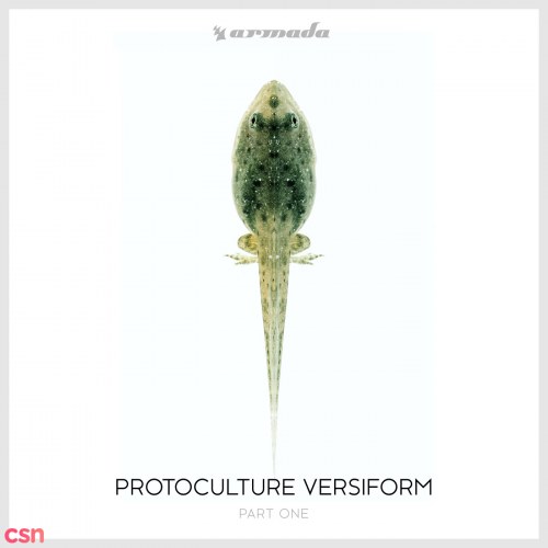 Protoculture