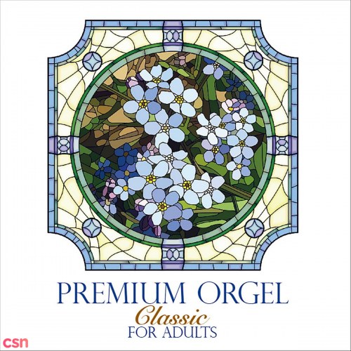Premium Classic Orgel for Adults