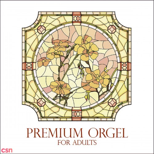 Premium Orgel For Adults
