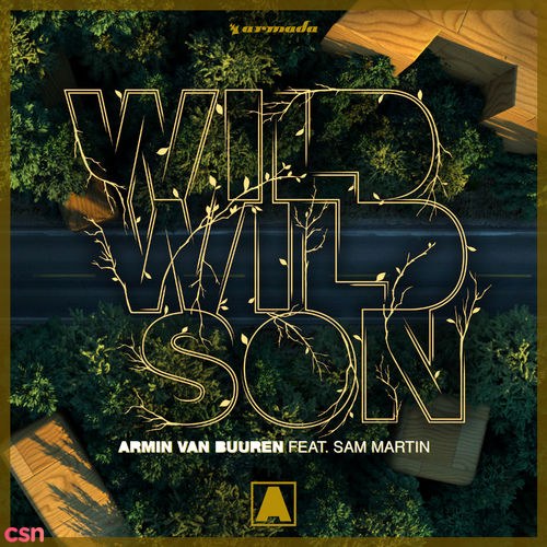 Wild Wild Son (Single)