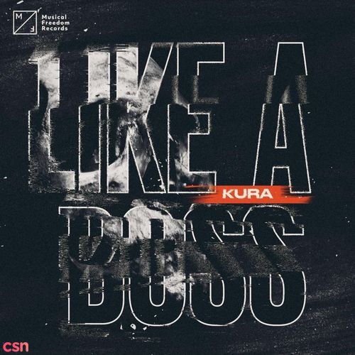 Like A Boss (Single)