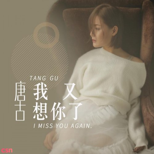 Em Lại Nhớ Anh Rồi (我又想你了) (Single)