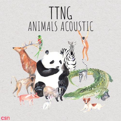 Animals Acoustic