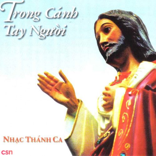 Trong Cánh Tay Người