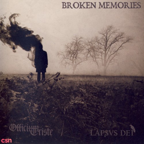 Broken Memories (Split)