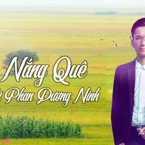 Vũ Phan Dương Ninh