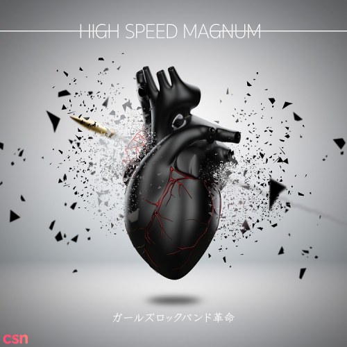 High Speed Magnum