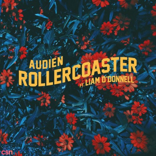 Rollercoaster (Single)