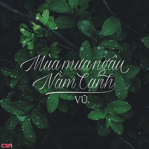 Mùa Mưa Ngâu Nằm Cạnh (Single)