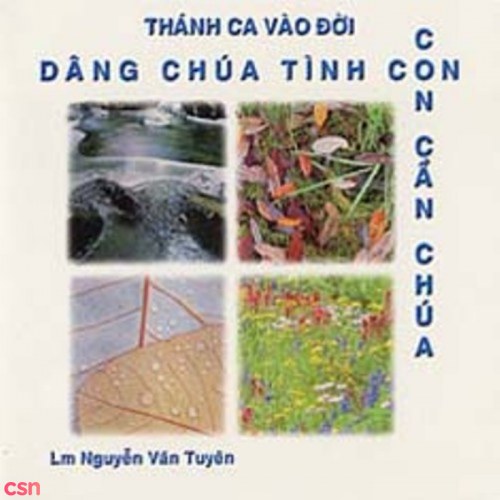 Thế Thông