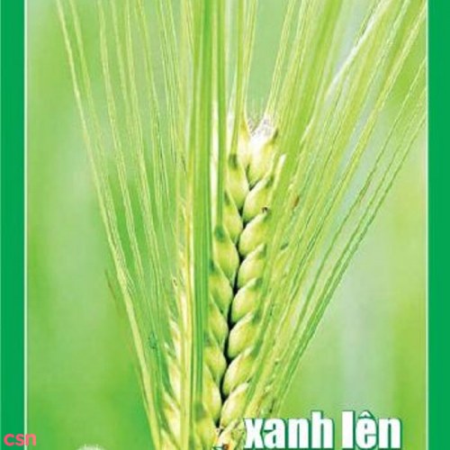 Xanh Lên Màu Mạ Non (Cassette)