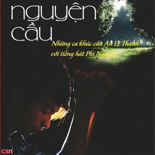 Đêm Nguyện Cầu - Phi Nguyễn Vol 14
