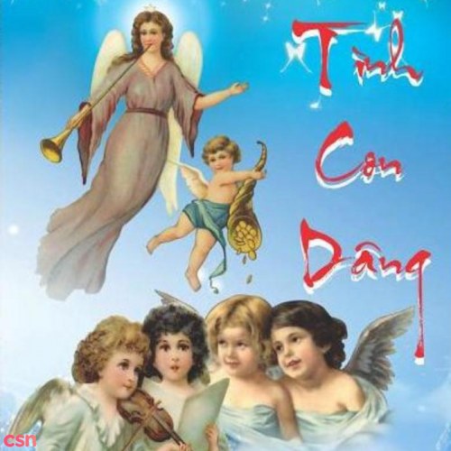 Tâm Tình Con Dâng - Phi Nguyễn Vol 13