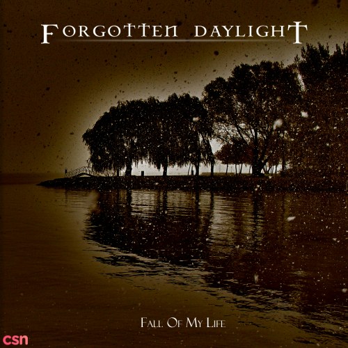 Forgotten Daylight