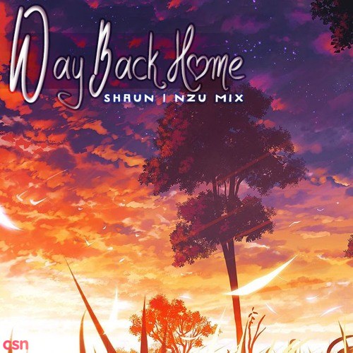 Way Back Home (Nzu Remix) (Single)